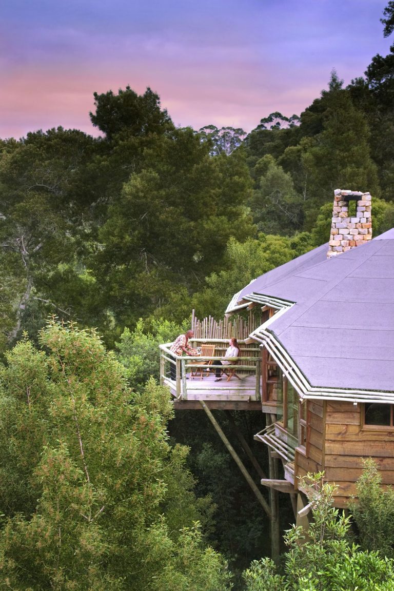 Float Above the Trees at Tsala Treetop Lodge