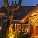 Sandton Magazine Discover Kwa-Zulu Natal with Nambiti Hills