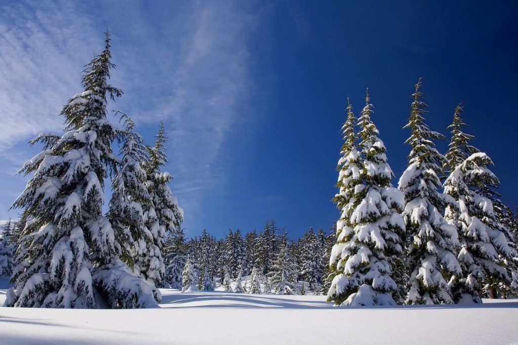 Where To Find Snow In South Africa This Winter