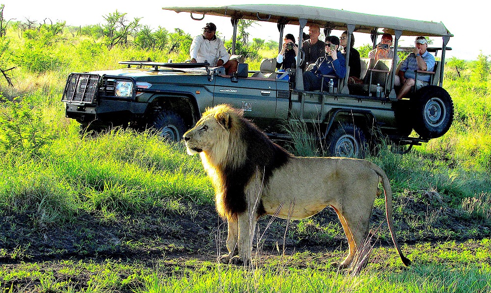 Tau Game Lodge – a walk on the wild side…