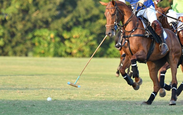 The Cell C Inanda Africa Cup polo event is not to be missed…
