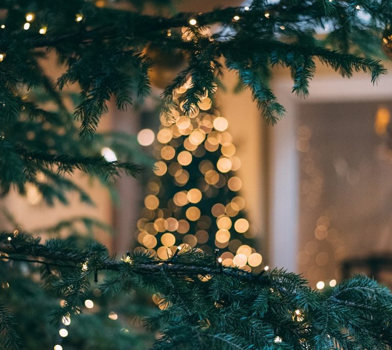 Christmas wonder for the whole family at Sun City