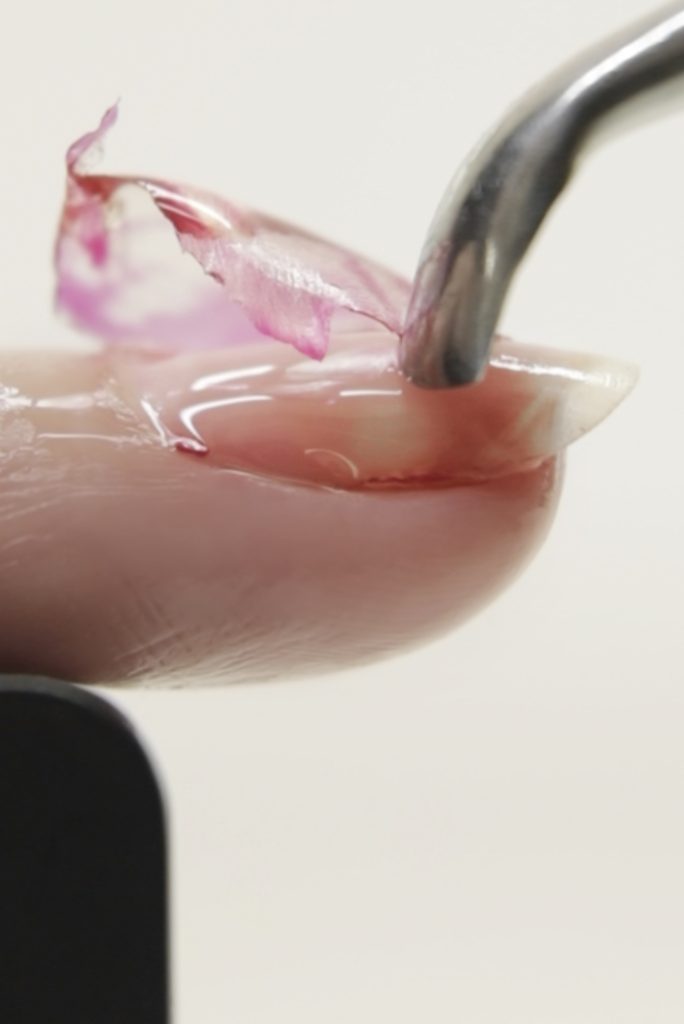 The new Biosculpture EVO 80Base & Build guarantees a quick gel remover that won't damage the nail